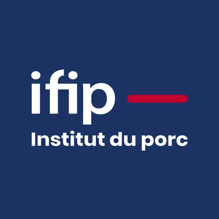 IFIP